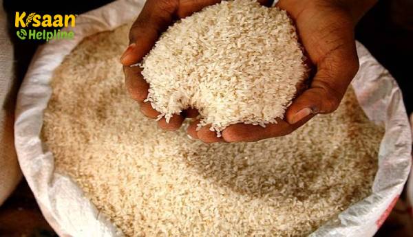 सरकार ने अब तक एमएसपी पर 79,675 करोड़ रुपये के धान की खरीद की सरकार ने अब तक एमएसपी पर 79,675 करोड़ रुपये के धान की खरीद की